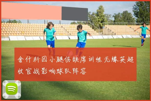 舍什科因小腿伤缺席训练无缘英超收官战影响球队阵容